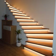 some stairs with lights on them and a potted plant in the corner next to it