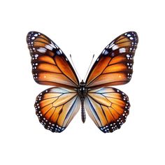 an orange and black butterfly with white spots on it's wings, flying in the air