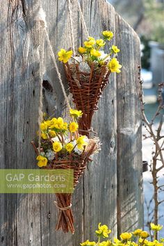 some yellow flowers are hanging from a wooden fence and there is no image on it