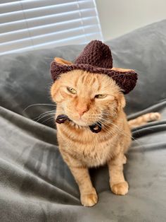 an orange cat wearing a hat and bow tie sitting on top of a gray couch