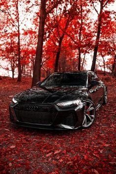 a black car parked on top of a leaf covered road in front of red trees