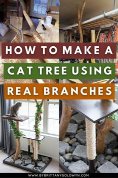 how to make a cat tree using real branches