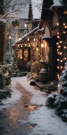 a snow covered path leading to a house with christmas lights hanging from it's roof