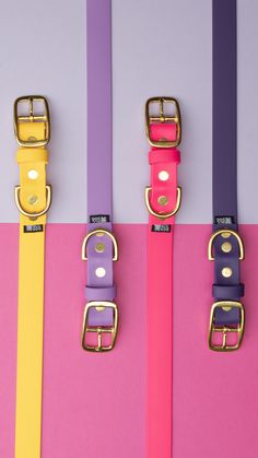 three different colored belts are hanging on the side of a pink and purple wall with gold buckles