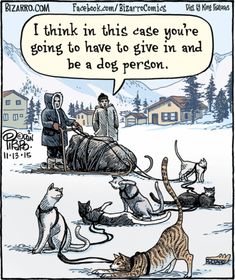 a comic strip with cats and dogs in the snow, one is saying i think this case you're going to have to give in and be a dog person