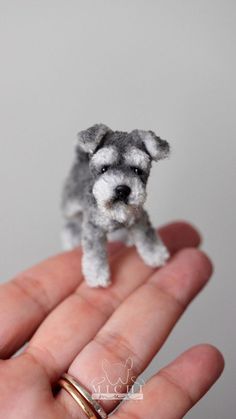 a tiny gray dog sitting on top of a persons hand