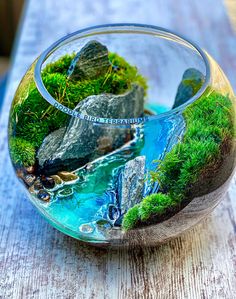 a glass bowl filled with water and moss on top of a wooden table next to rocks