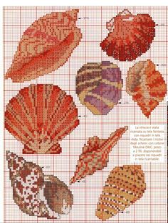 the cross stitch pattern shows different types of seashells