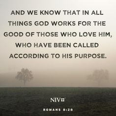 a foggy field with two trees and the words, and we know that in all things god works for the good of those who love him, who have been called according to his purpose