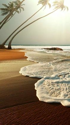 the sun shines brightly behind two palm trees near the ocean's edge on a sandy beach