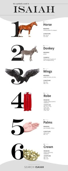 an illustrated poster with different types of animals and numbers on the front side of it