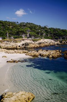 the water is crystal blue and clear at this beach near some rocky shore with trees in the background