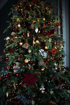 a decorated christmas tree with red and gold ornaments