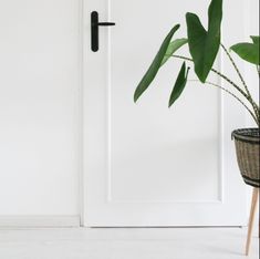 a potted plant sitting in front of a white door with a black handle on it