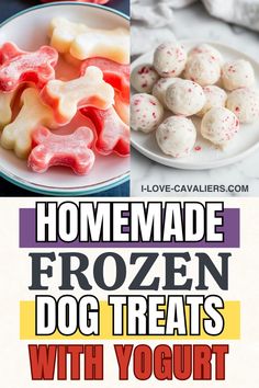 homemade frozen dog treats with yogurt are the perfect treat for dogs and cats