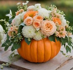 a pumpkin filled with white and orange flowers