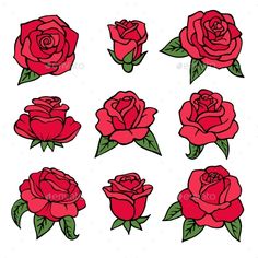 red roses with green leaves and buds on white background - flowers & plants decorative objects