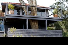 a large tree in front of a house with two balconies on the upper level