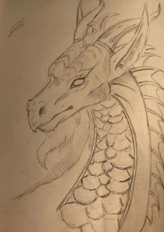 a pencil drawing of a dragon head