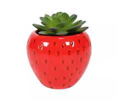 a red ceramic strawberry shaped planter with green leaves in it's center, on a white background