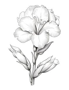 a drawing of a flower on a white background