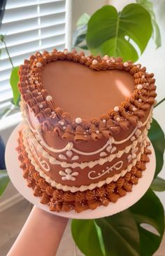 a heart shaped cake sitting on top of a white plate next to a green plant