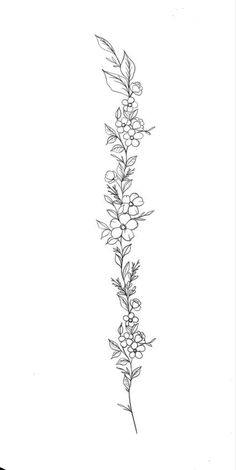 My tattoo Womens Flower Spine Tattoos, Different Spine Tattoos For Women, Flowers Down The Spine Tattoo, Flower Vine Tattoo Down Spine, Back Corner Tattoo Women, Back Tattoos Flower Spine, Women Spine Tattoo Ideas Flowers, Spine Tattoos Wildflower, Tattoo For Niece Ideas