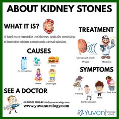 Nephron Anatomy, Kidney Foods, Renal Calculi, Kidney Friendly Recipes Renal Diet, Low Oxalate Diet, Oxalate Diet, Pizza Sticks, Coconut Water Benefits, Low Oxalate