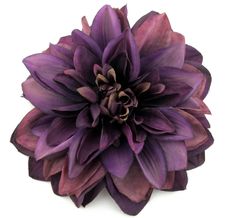 a large purple flower on a white background