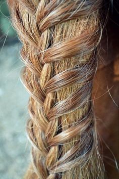 a horse's hair is braided with long strands