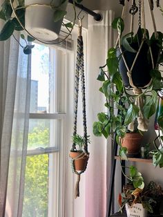 several hanging plants in pots next to a window