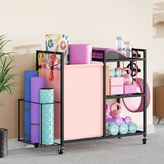 a shelf filled with lots of different items next to a potted plant on top of a carpeted floor