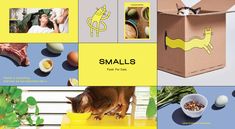 an image of a box with animals and eggs in it that says, smalls