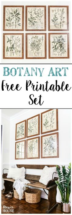 the botanical art tree printable set is perfect for displaying in your home or office