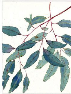 an image of leaves on a branch with watercolors in the foreground and white background