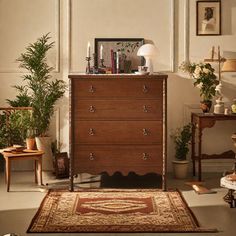 a living room filled with lots of furniture and plants on top of a wooden dresser