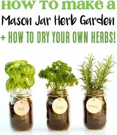 three mason jars with herbs in them and the words how to make a mason jar herb garden