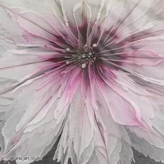 a large white and pink flower with water droplets on it's petals in the center