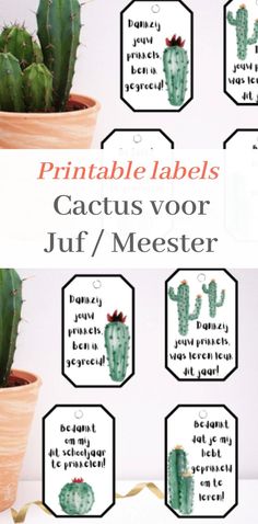 a cactus in a pot with the words printable labels on it, and an image of