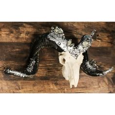 an animal skull with horns on top of a wooden table