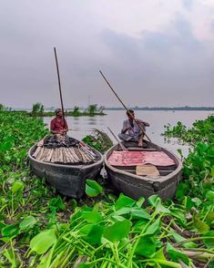 two people in small boats on the water with green plants around them and one person rowing