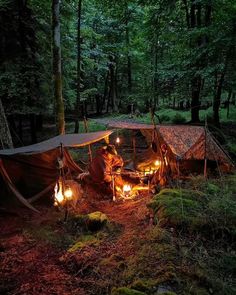 two people are sitting in the woods with their tents lit up at night and camping