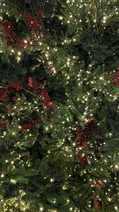 a large christmas tree with lots of lights on it's branches and red berries