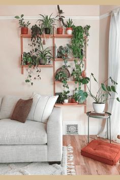 a living room filled with furniture and lots of plants on shelving above the couch