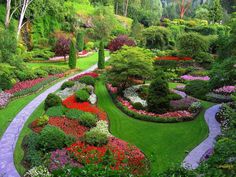 a garden with lots of flowers and trees