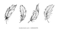 four feathers drawn in ink on white paper