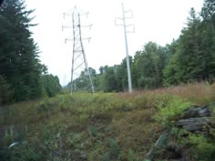 an image of power lines in the woods