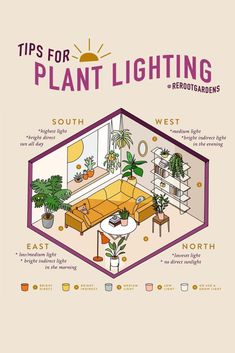 Indoor Plant Lighting Guide Indoor Plants Light Guide, Plant Sunlight Chart, Light Levels For Plants, Indoor Plant Light Guide, Growing Lights For Plants, Bright Light Plants Indoor, Plants That Need Little Light, Indoor Plants Lighting, Plants That Dont Need Sunlight Indoor