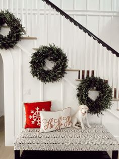 a dog sitting on a bench in front of some christmas wreaths and a pillow