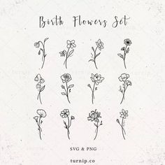 the different flowers are drawn in black and white on a sheet of paper that says birth flowers